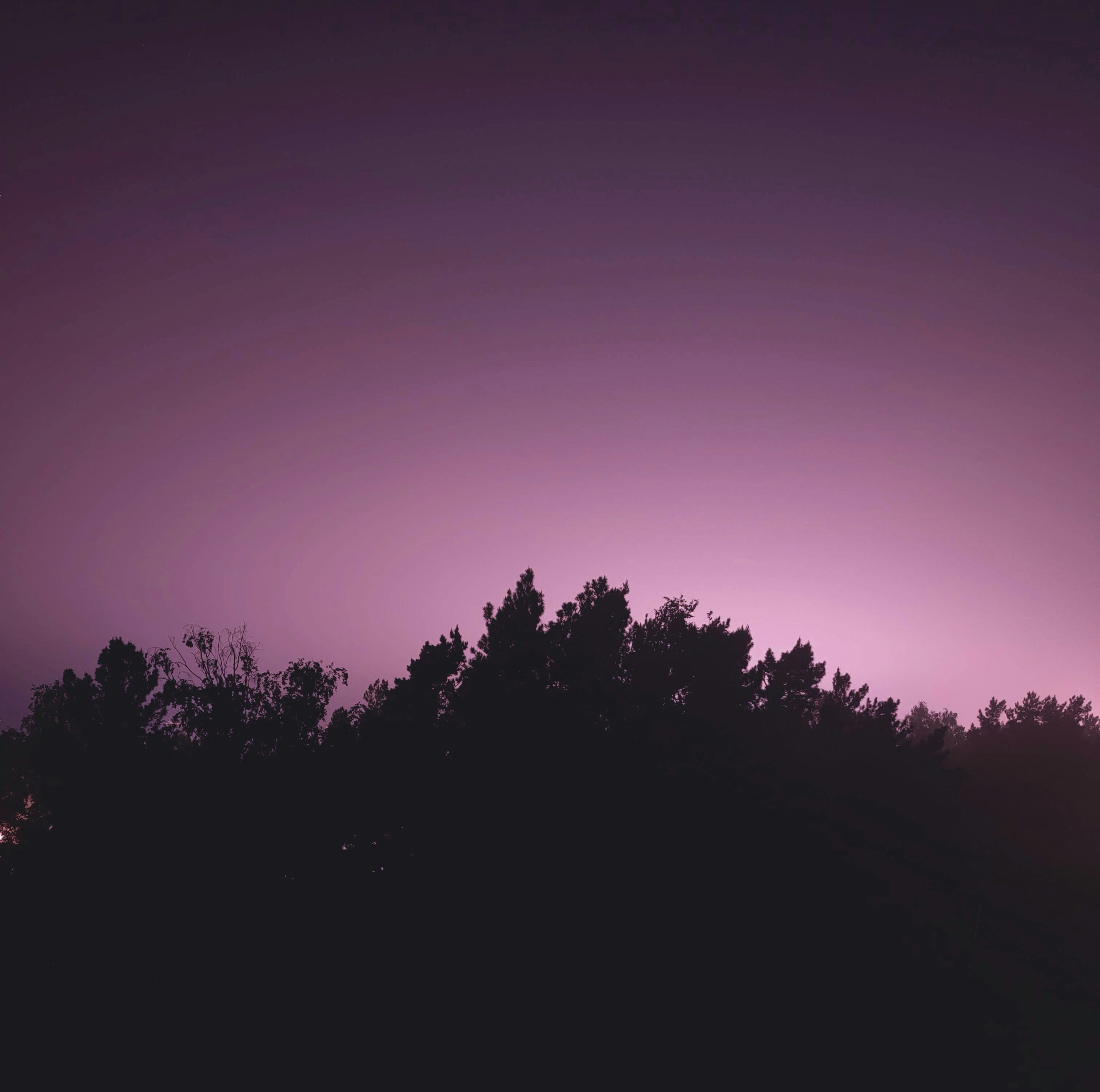 sergei-borisov-cdPE6RwhfTI-unsplash